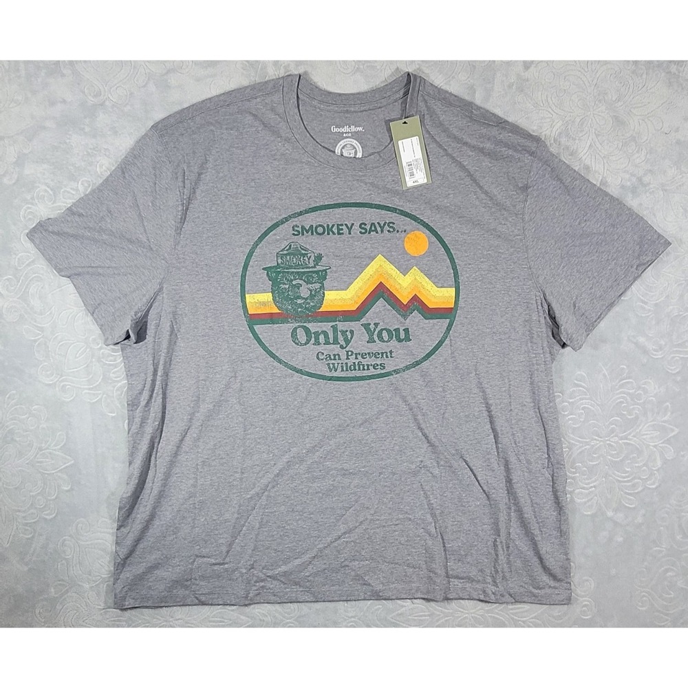 Goodfellow & Co Smokey the Bear Only You Can Prevent Wildfires Gray T-Shirt 4XL
